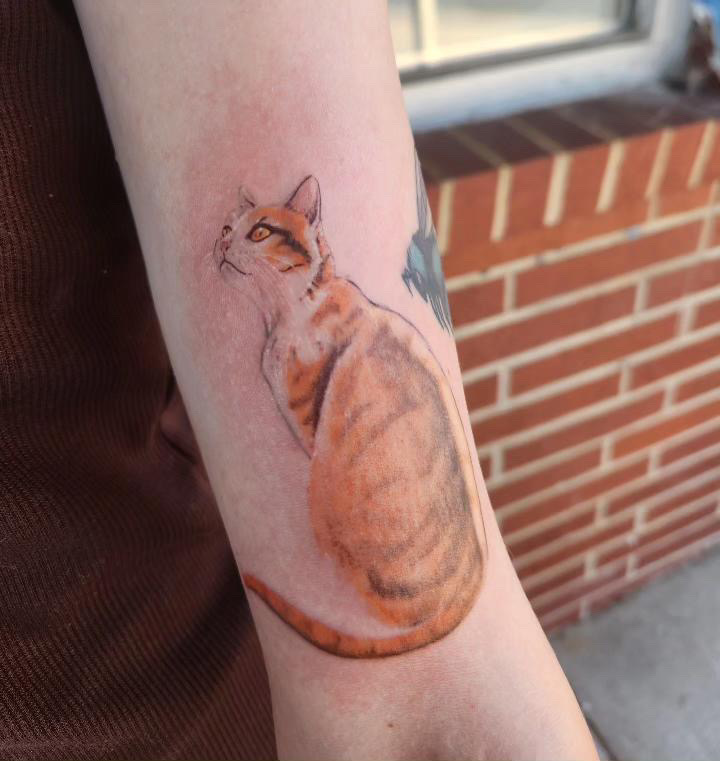 Realistic forearm cat tattoo.