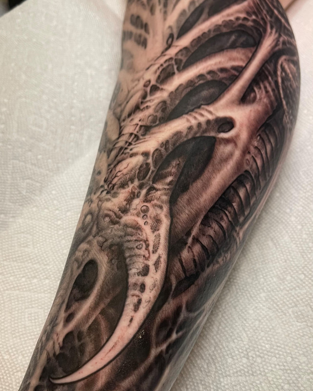 Dragon wing and claw detailed fine line black and grey tattoo by Shaine Smith of Sacred Mandala Studio.