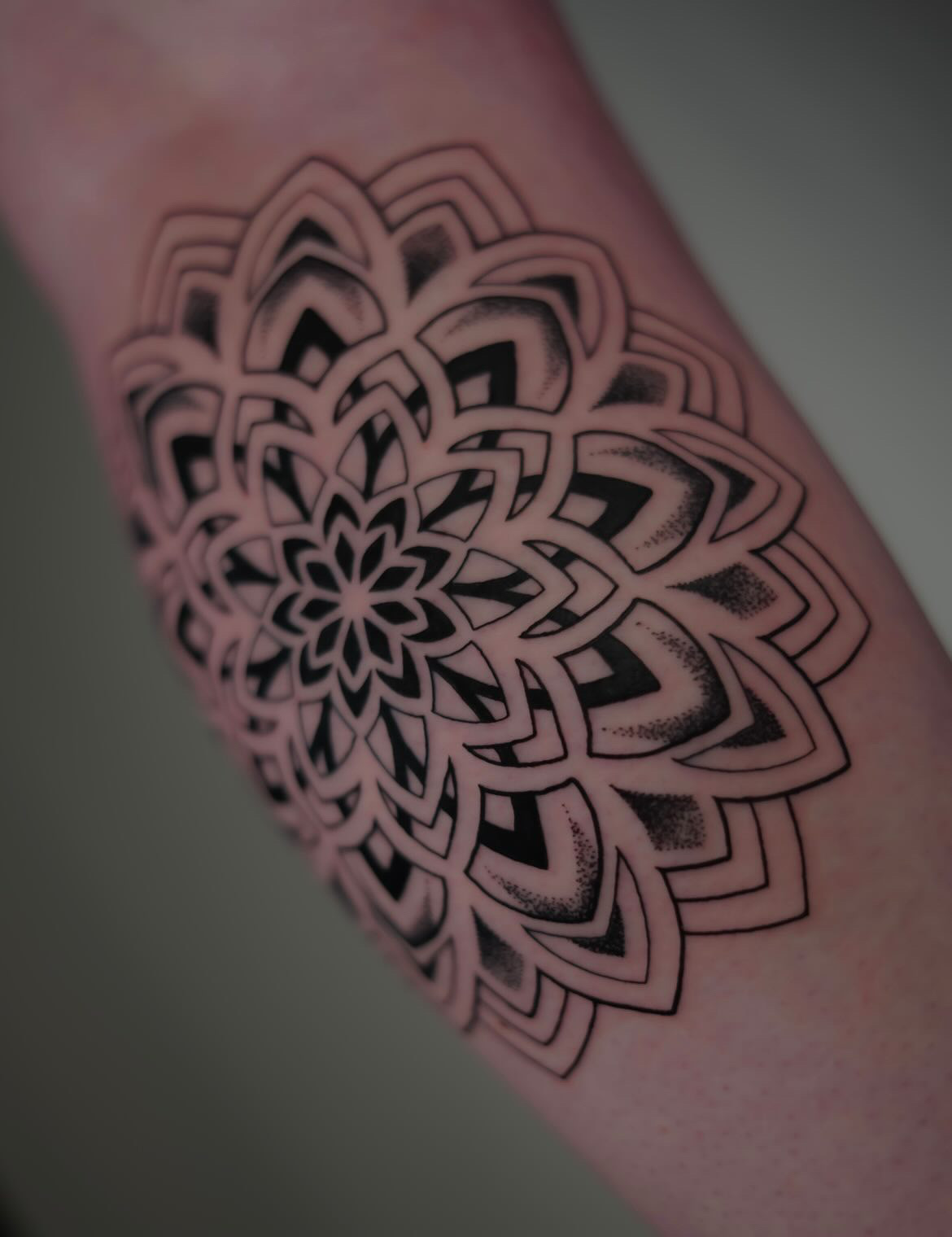Mandala Tattoo Flash Black and White