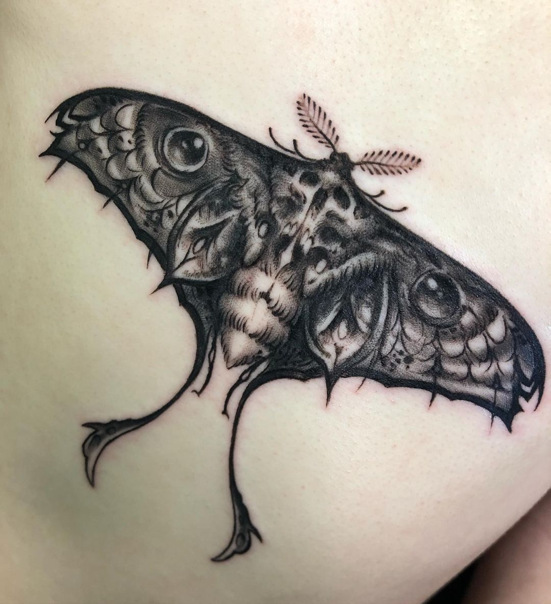 Tattoo Artist Shaine Smith tattoo in black and grey - incredible detailed moth tattoo