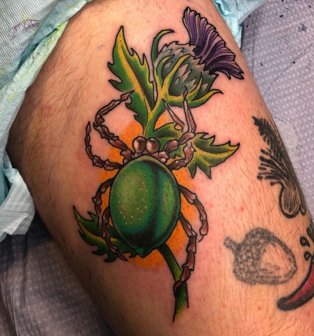 Full color tattoo of a spider crawling up a thistle. Book a custom tattoo with Chris at Sacred Mandala Studio - Durham, NC.